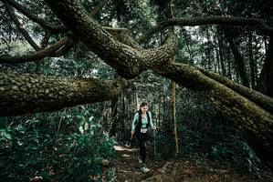 BIB: 
                            <button type="button" onclick="openModal(25705506)" class="btn btn-primary btn-sm float-right btn-popup" data-toggle="modal" data-target=".modal-high-quality">
                        <i class="fas fa-shopping-cart"></i> Add to Cart
                    </button>
                                            <button type="button" onclick="isThisMe(25705506, true)" class="btn btn-success btn-sm float-right btn-popup btn-isme hidden" data-toggle="tooltip" data-placement="bottom" title="นี่คือรูปของคุณใช่ไหม คลิกที่นี่เพื่อเอาเข้าอัลบั้ม">
                        <i class="fas fa-plus"></i> Add to album
                    </button>
                    <button type="button" onclick="isThisMe(25705506, false)" class="btn btn-warning btn-sm float-right btn-popup btn-isnotme hidden">
                        <i class="fas fa-ban"></i> Remove from album
                    </button>